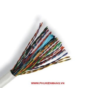 CAP MANG 25 DOI AMP Part Number 14994181 CAP MANG AMP Category 5e UTP Cable 25Pair 24AWG