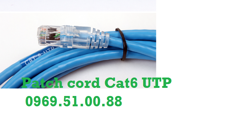 Patch Cord Cat6 UTP Hat bam mang RJ45 Cat6Patch Panel 2448 Cong Cat5 Cat6 AMP