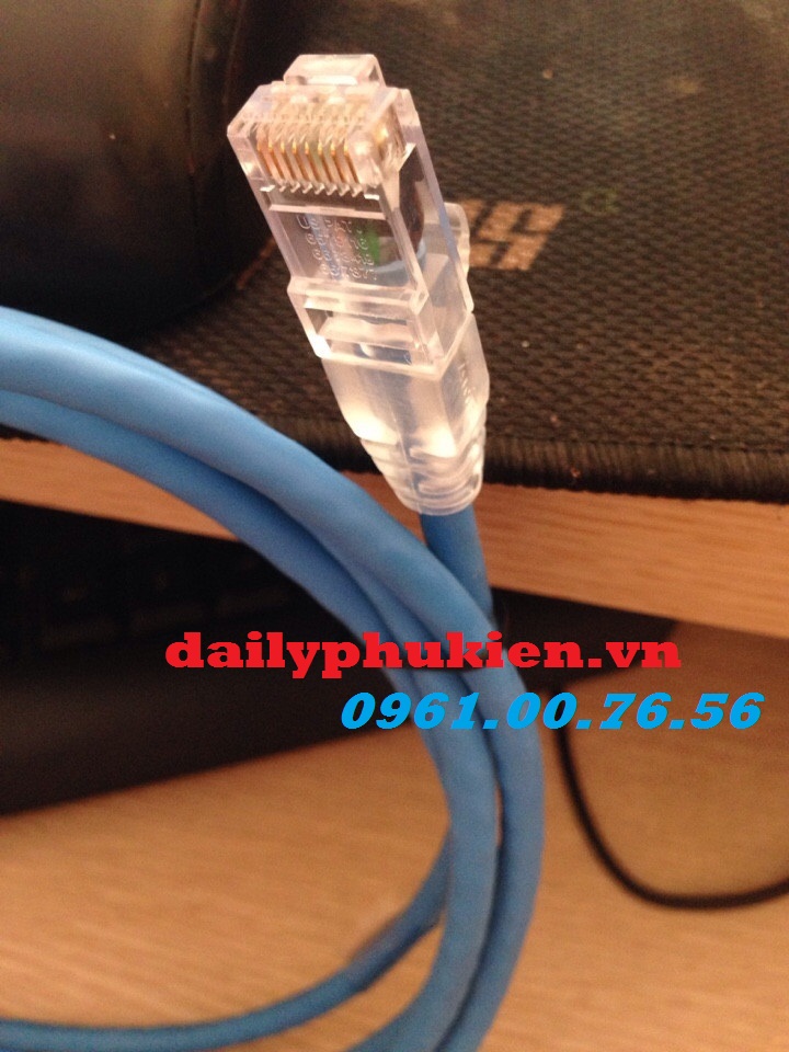 Patch cord Day nhay AMP Cat5 Cat6 UTP chinh hang