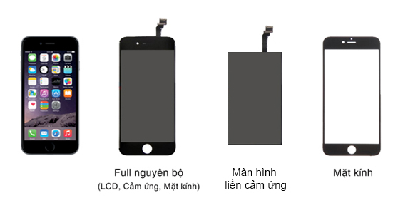 Tim hieu cau tao man hinh iphone 6