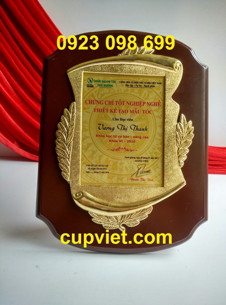 San xuat bieu trung dong lam bang chung nhan qua tang bang khen bang vinh danh go dong gia re